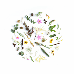 We're Engaged Announcement