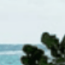 This Summer at The Lido Opening Hours