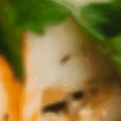 Number 1 Pizza Recipe