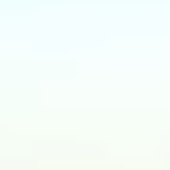 Where will you travel next