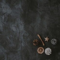 Bring Joy this Christmas Season