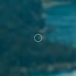 Best of Nature Image Gallery Search