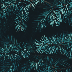 Happy Christmas Animated Card