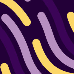 Sale Ends in 24 hours