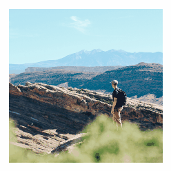 Receive New Blog Posts in Email